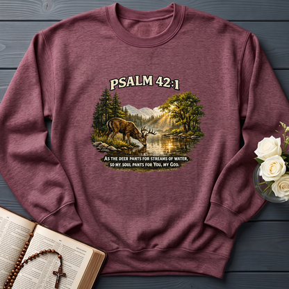 As The Deer Pants For Streams Of Water So My Soul Pants For You My God Psalm 42.1 01
