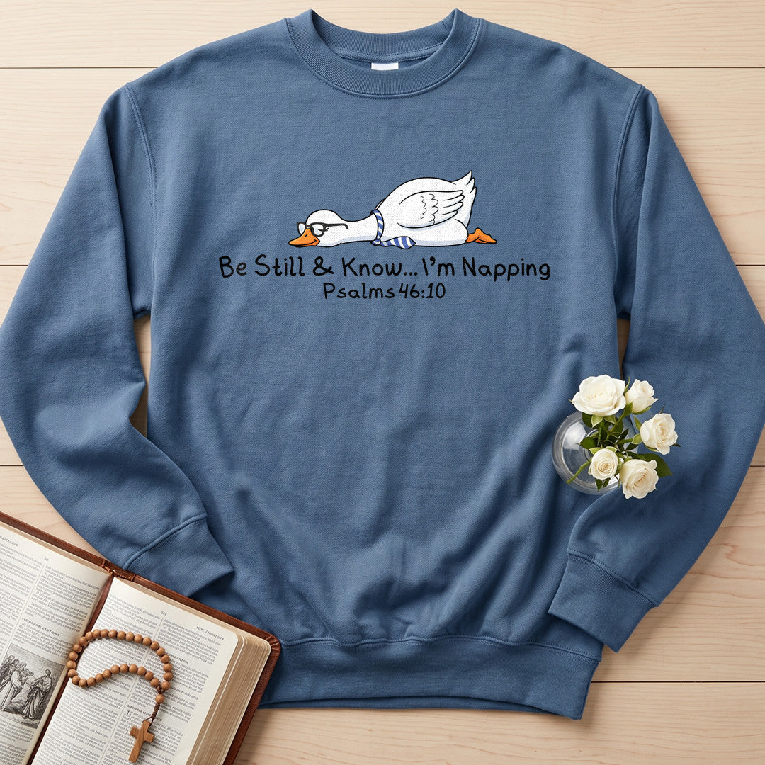 Be Still And Know I'm Napping Psalms 46.10 01