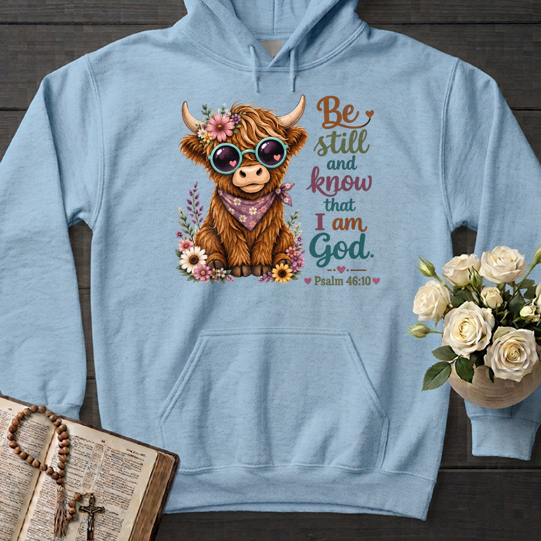Be Still And Know That I Am God Psalm 46.10 17