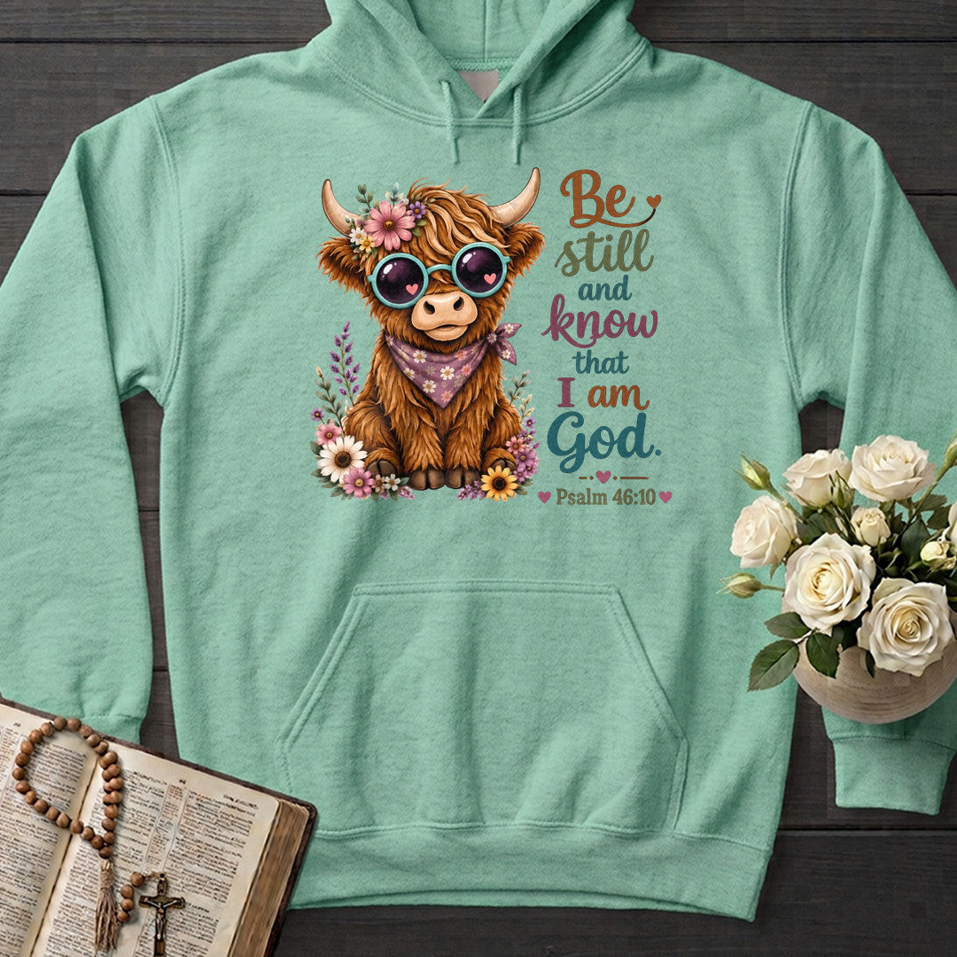 Be Still And Know That I Am God Psalm 46.10 17