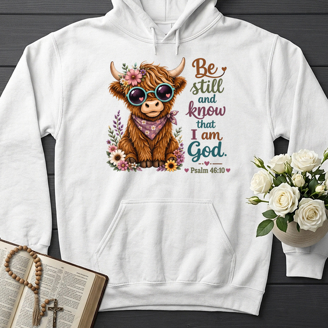 Be Still And Know That I Am God Psalm 46.10 17