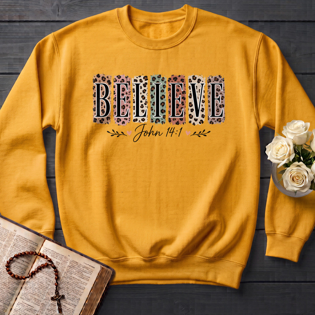 Believe John 14.1 04