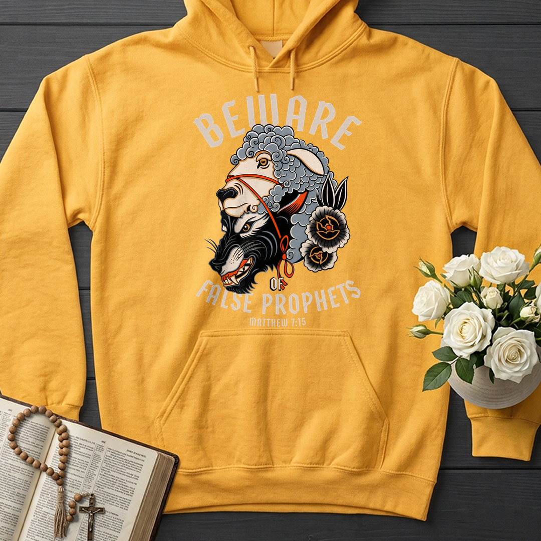 Beware Of False Prophets Matthew 7.15 01
