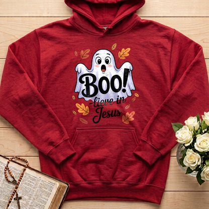 Boo Lieve In Jesus 02