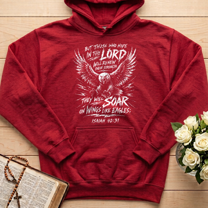 But Those Who Hope In The Lord Isaiah 40.31 03