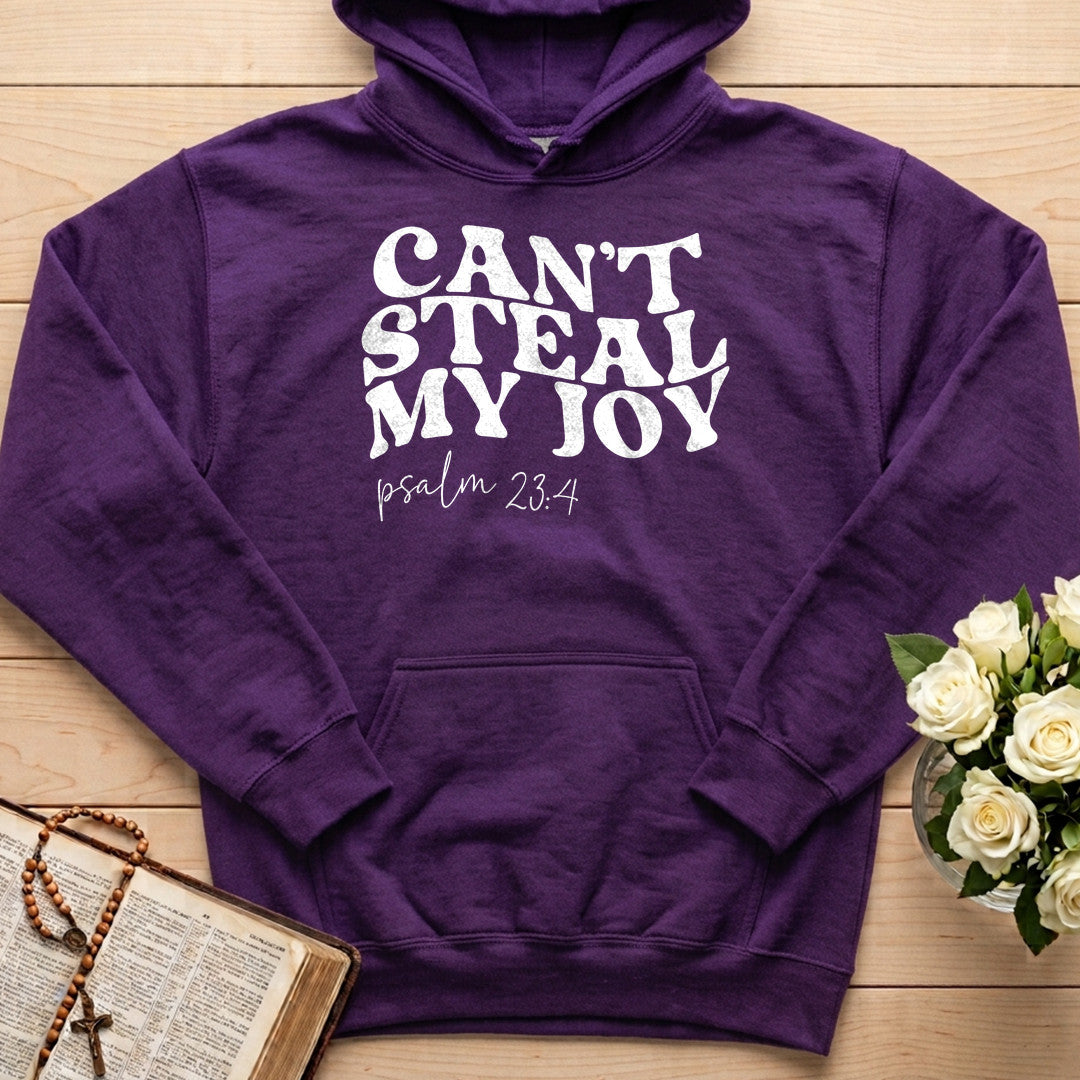 Can't Steal My Joy Psalm 23.4 01