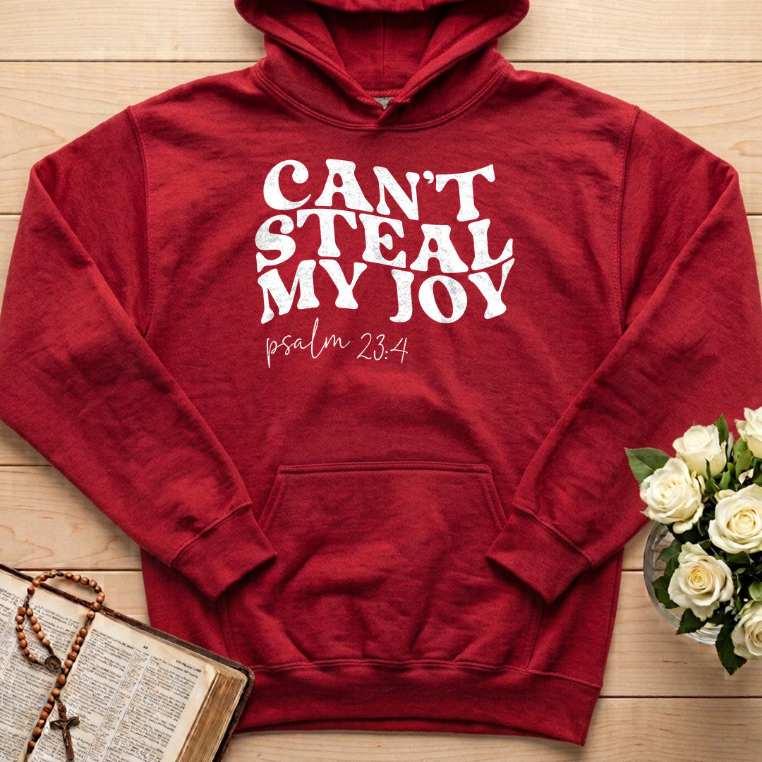 Can't Steal My Joy Psalm 23.4 01