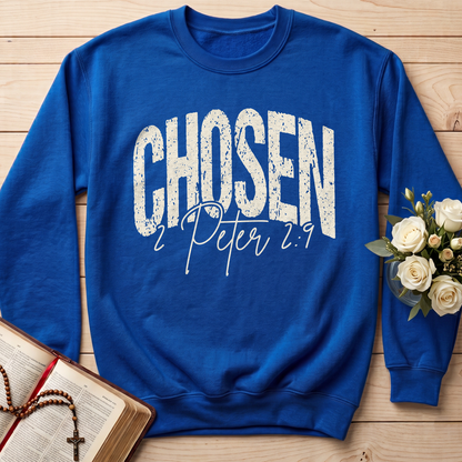 Chosen 1 Peter 2.9 01