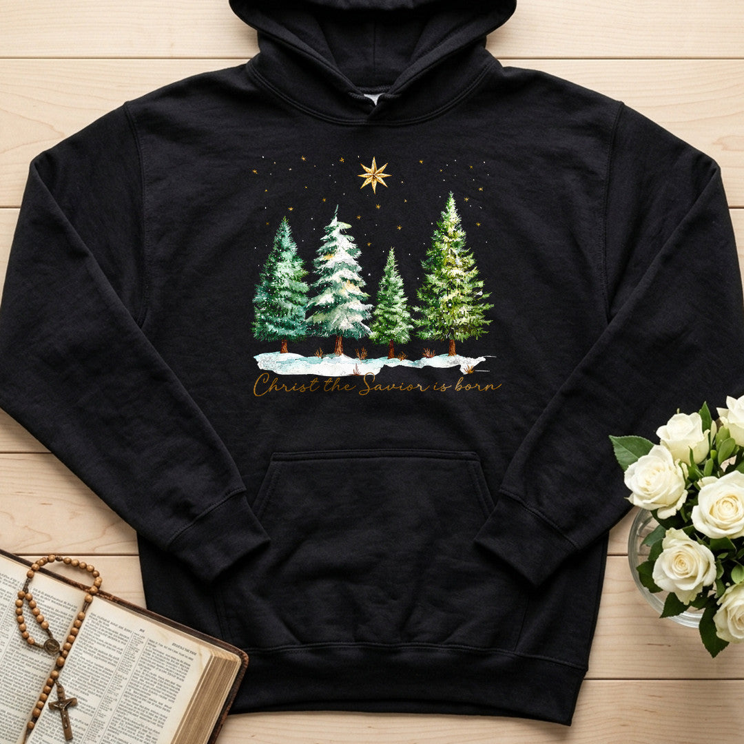 Christ The Savior Is Born 02
