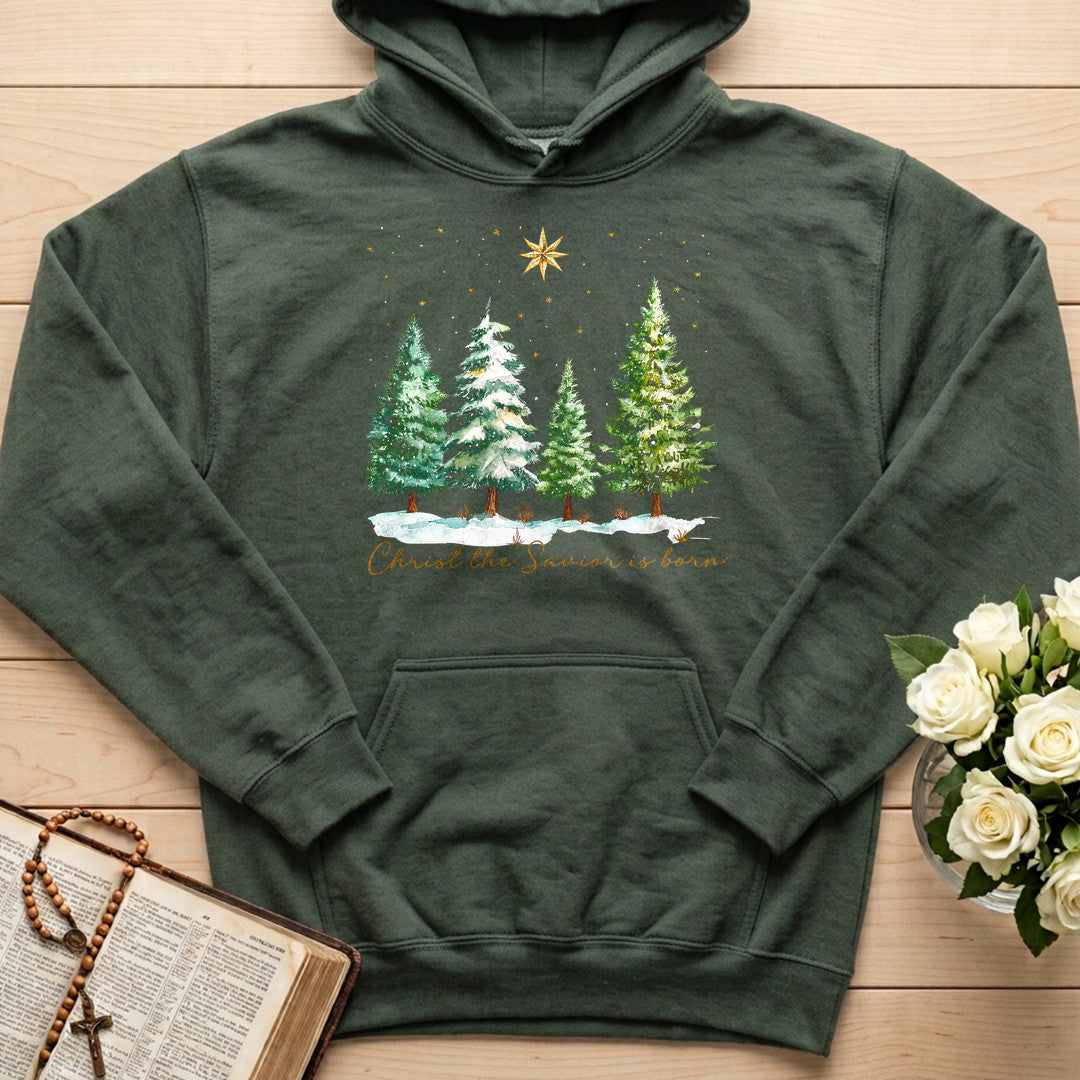 Christ The Savior Is Born 02