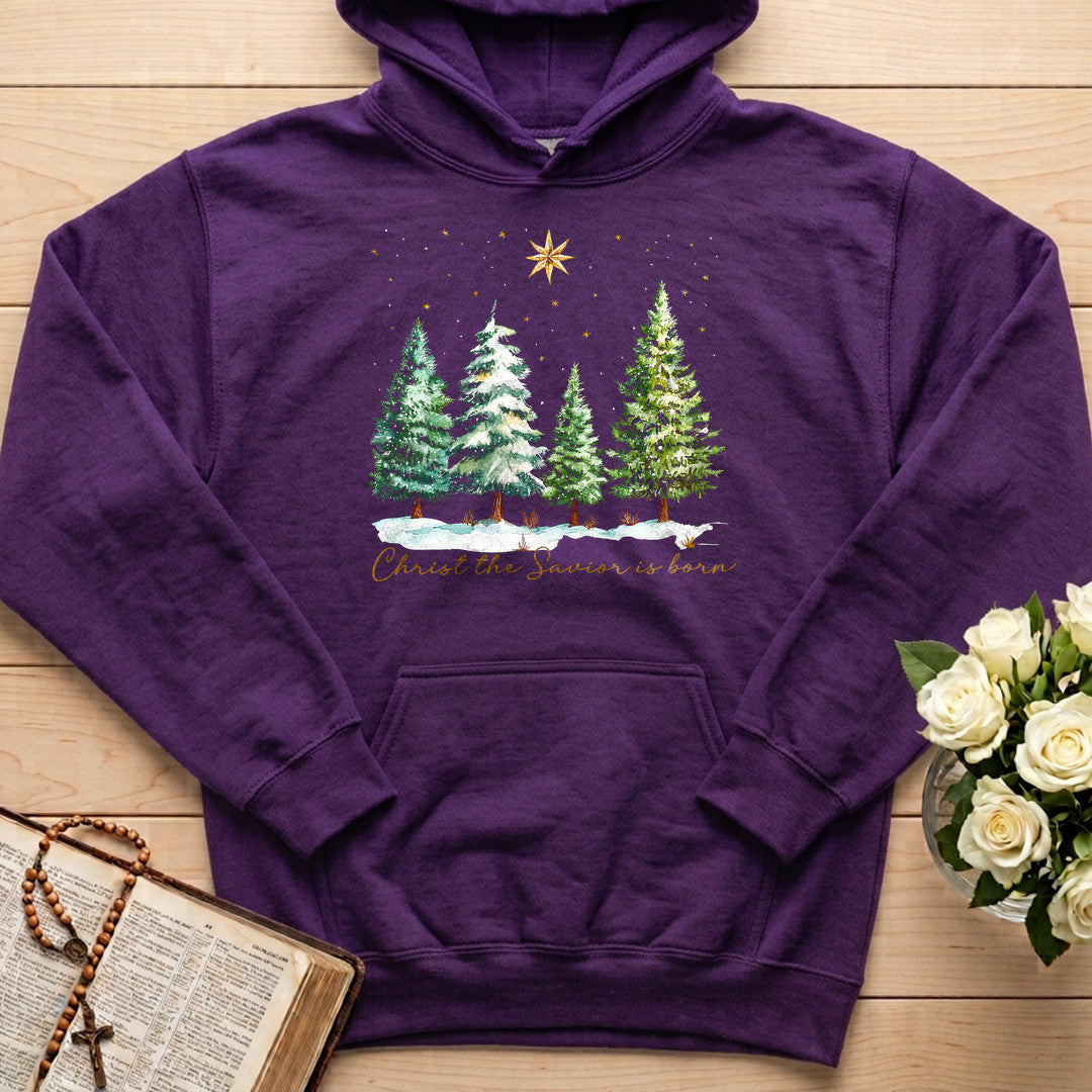 Christ The Savior Is Born 02