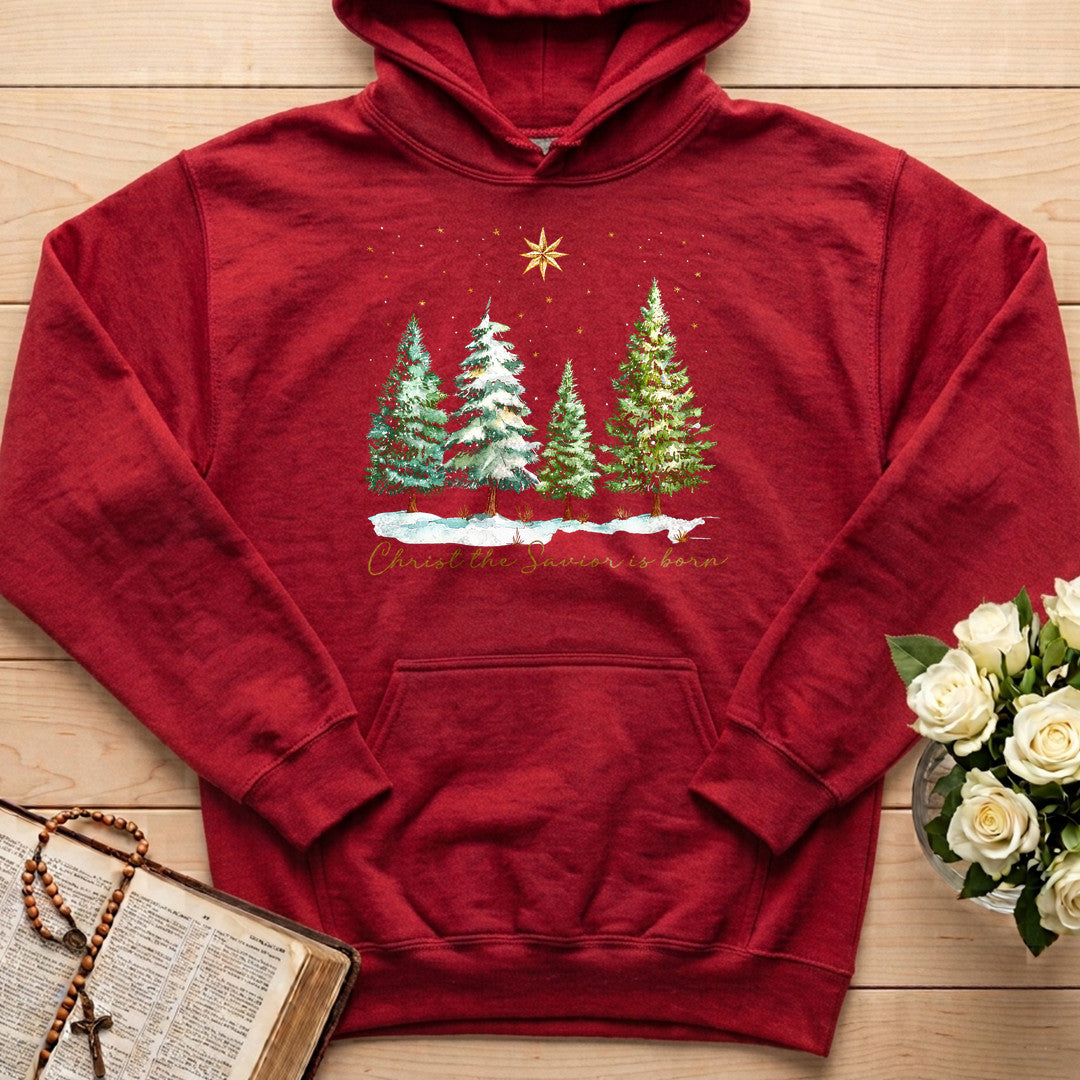 Christ The Savior Is Born 02