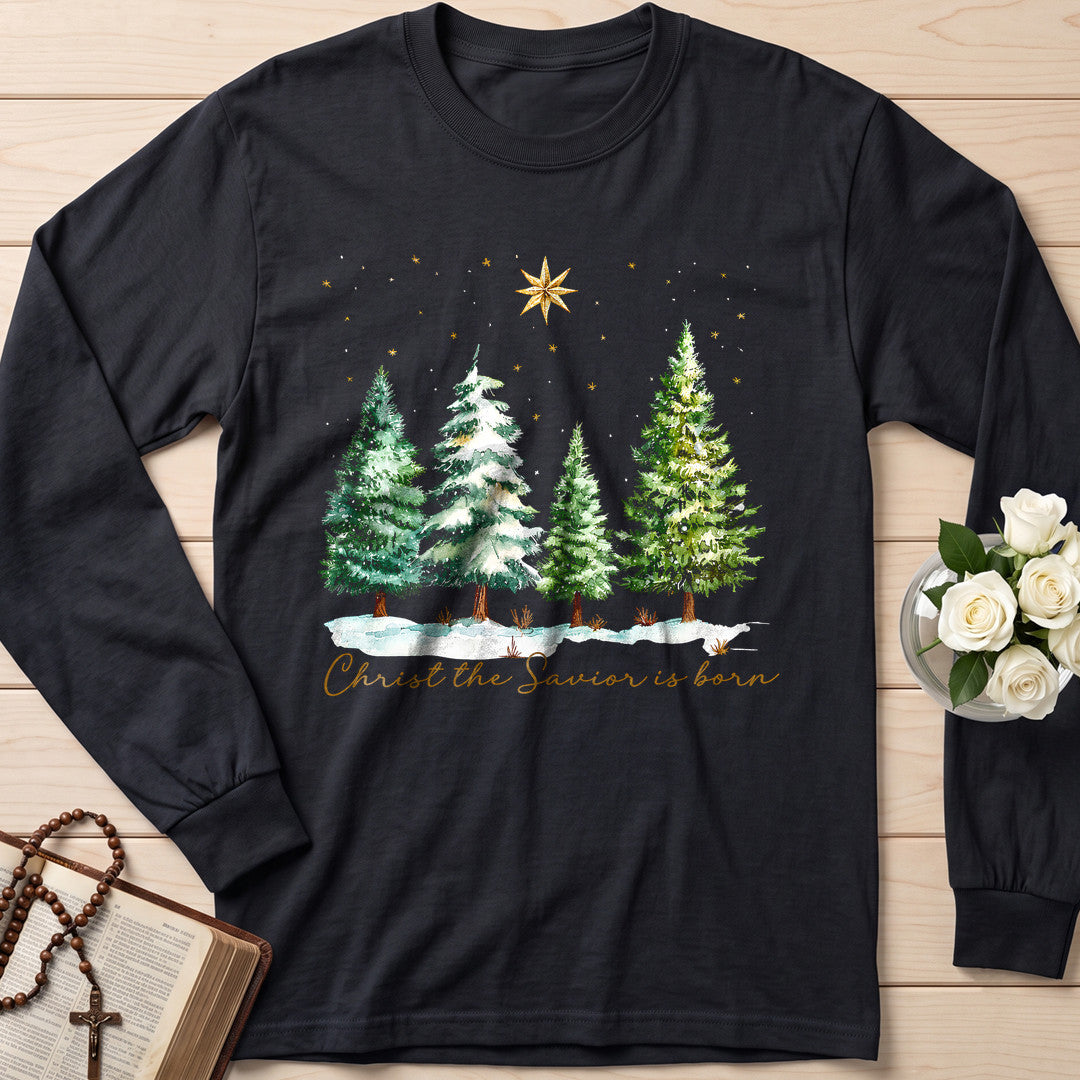 Christ The Savior Is Born 02