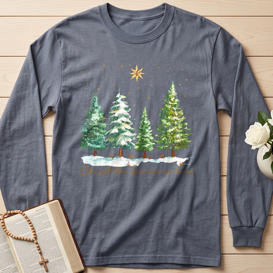 Christ The Savior Is Born 02