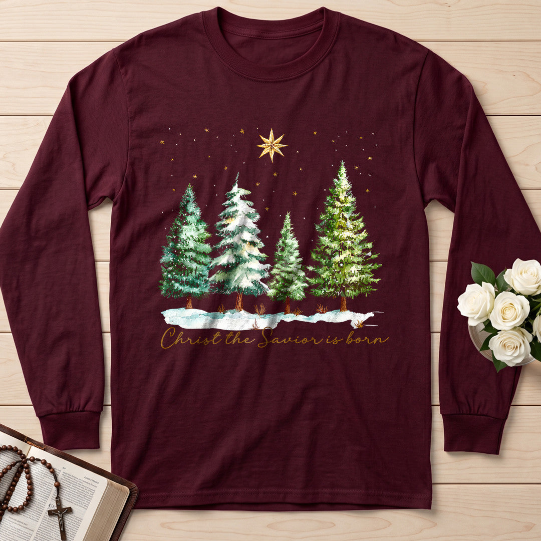 Christ The Savior Is Born 02
