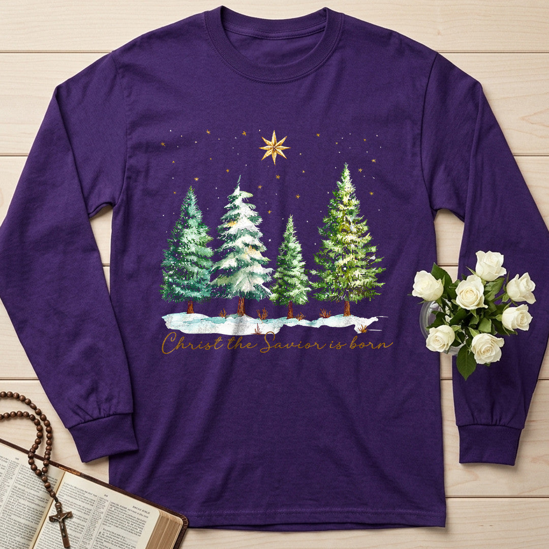 Christ The Savior Is Born 02