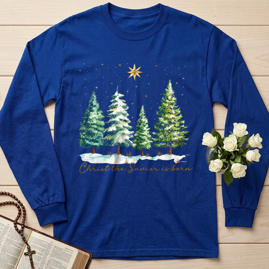 Christ The Savior Is Born 02