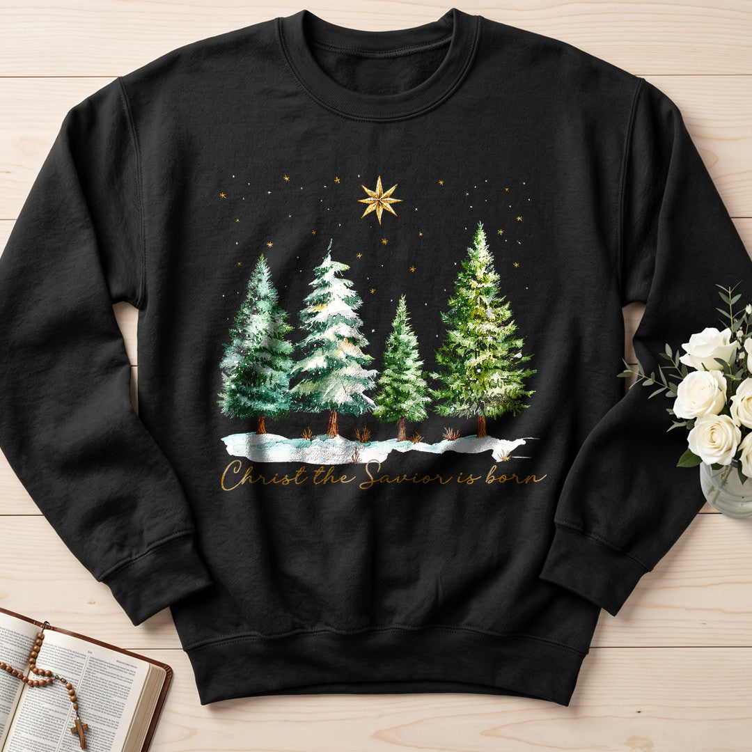 Christ The Savior Is Born 02