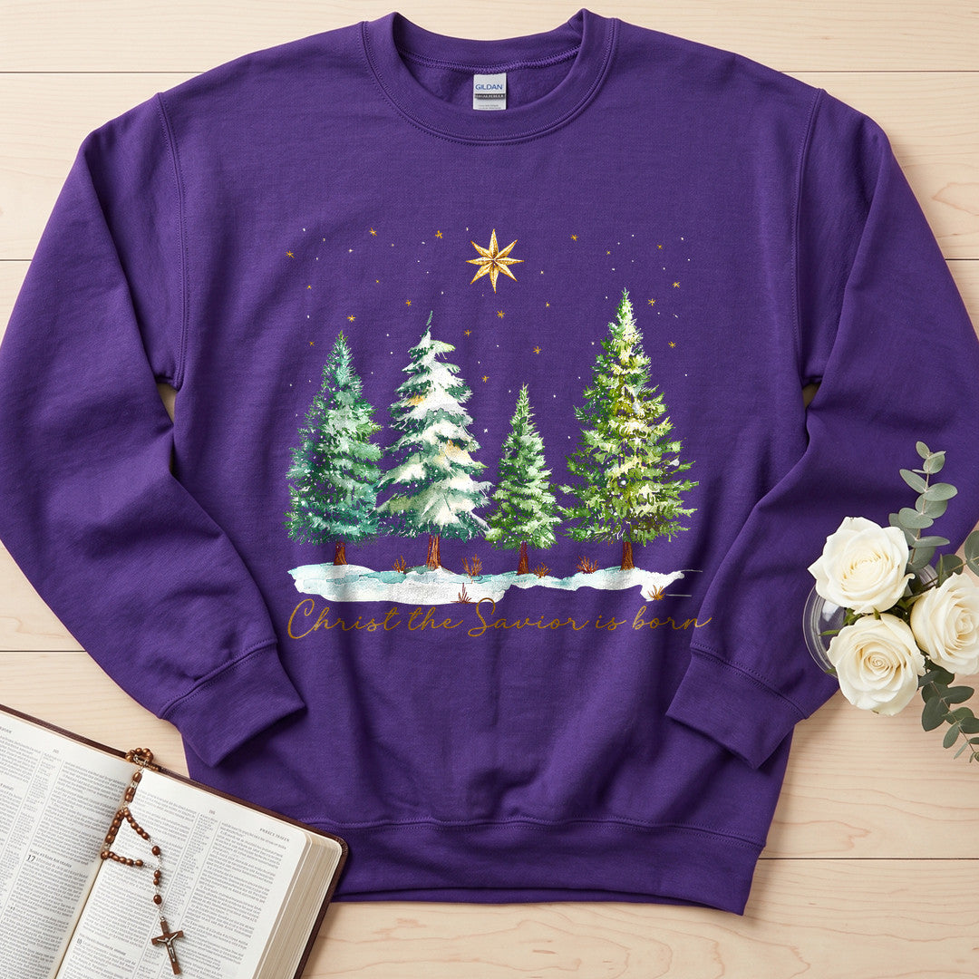 Christ The Savior Is Born 02