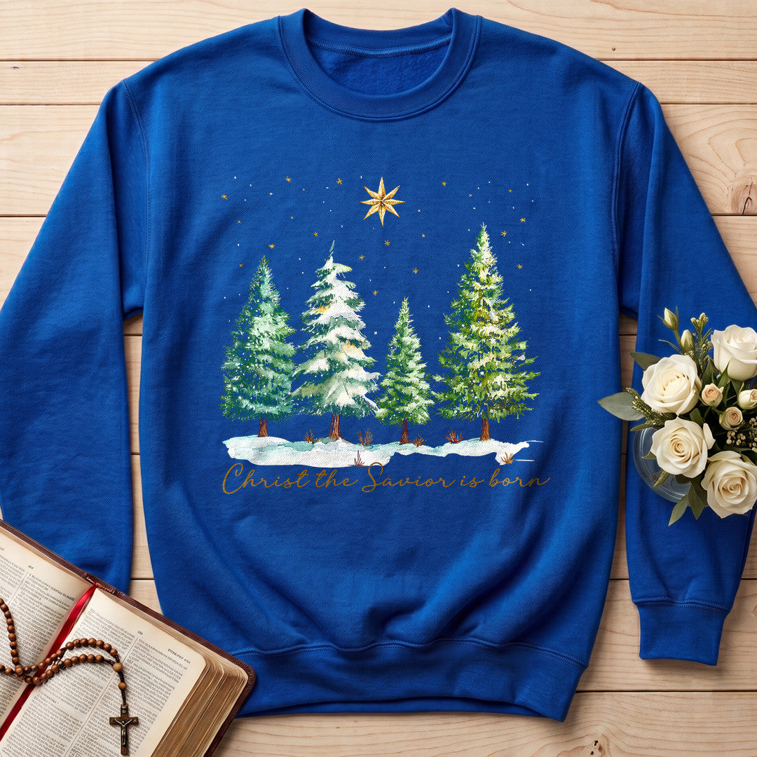 Christ The Savior Is Born 02