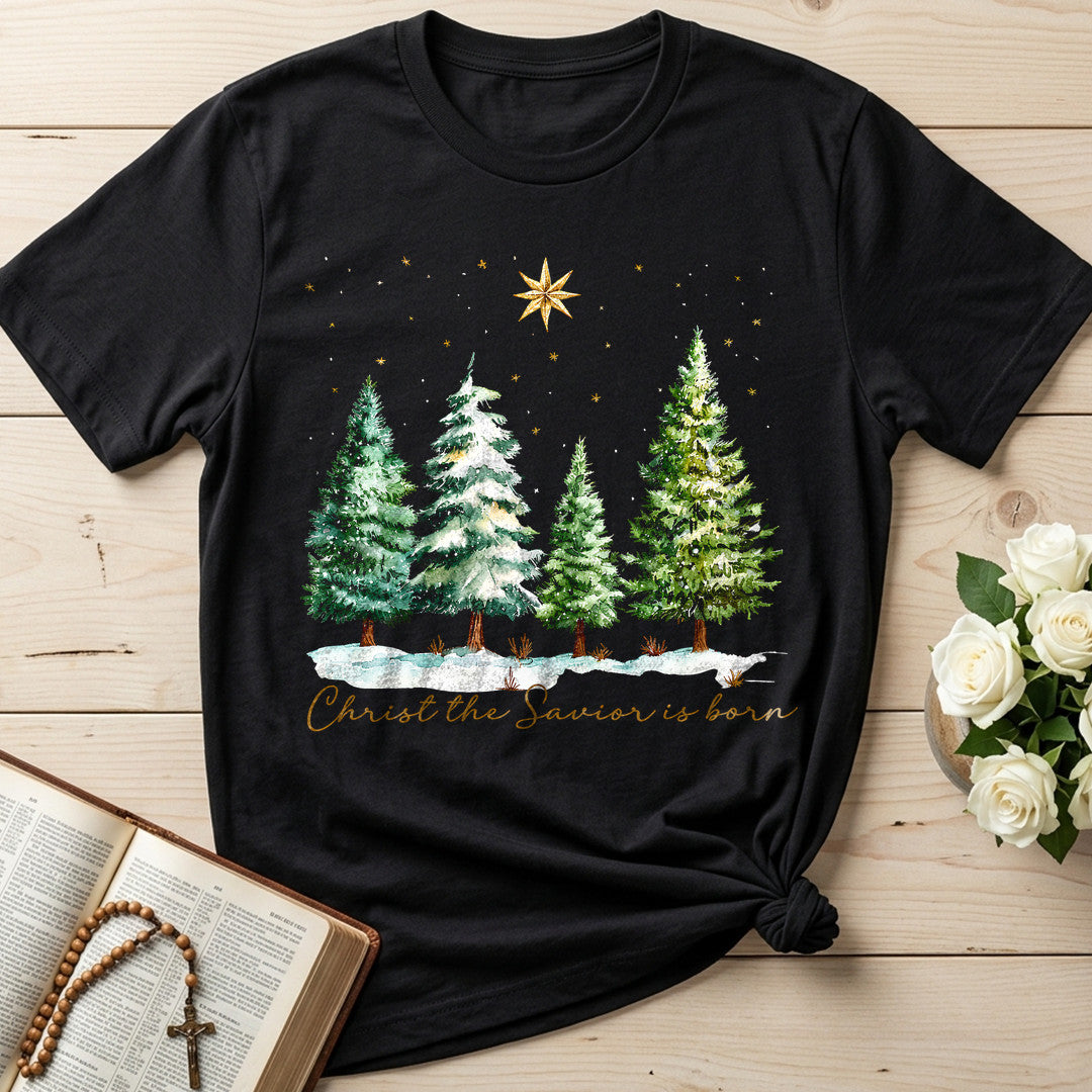 Christ The Savior Is Born 02