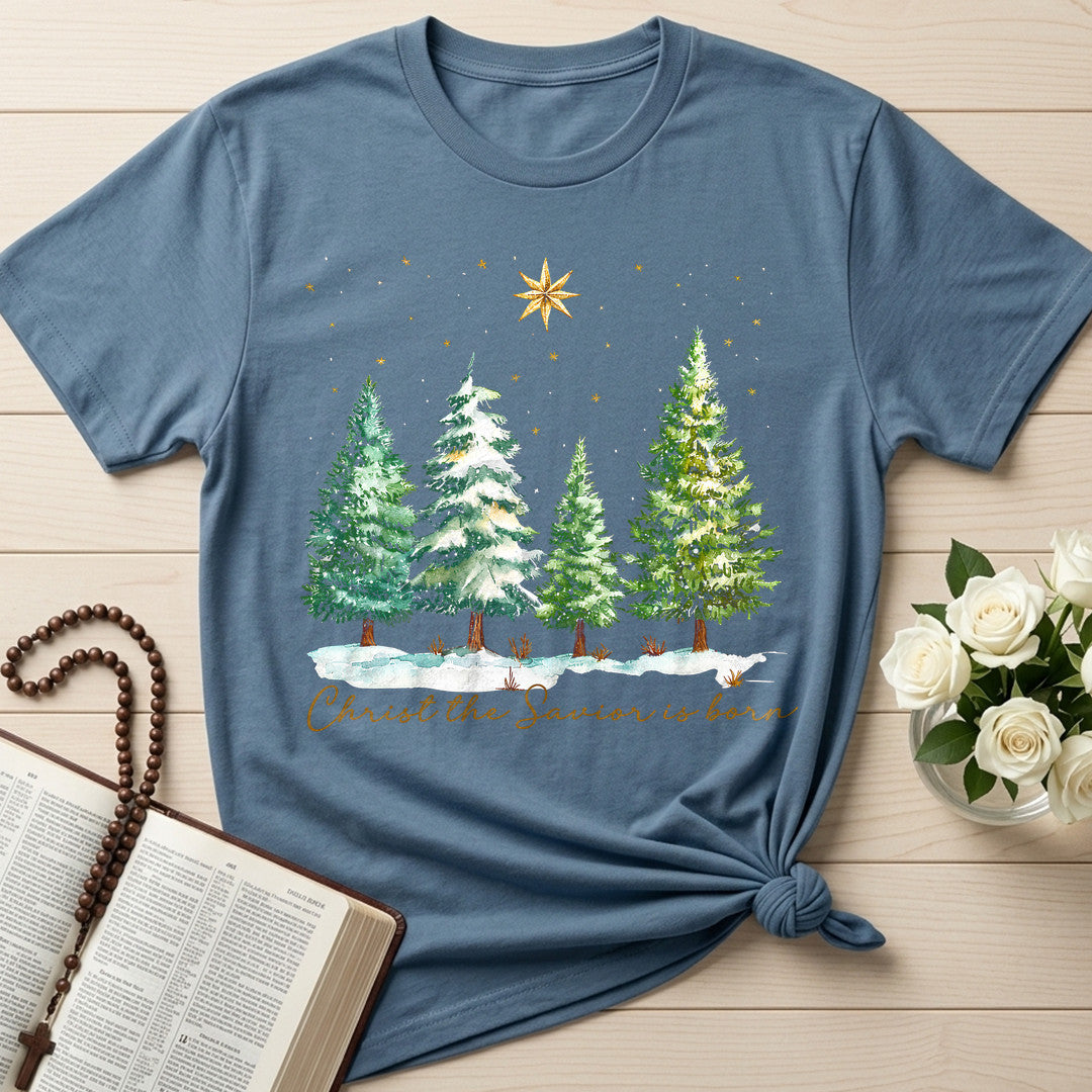 Christ The Savior Is Born 02