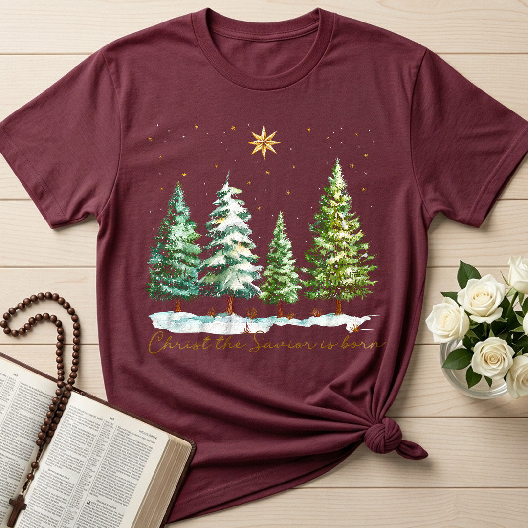 Christ The Savior Is Born 02