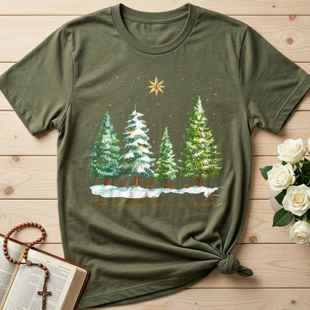 Christ The Savior Is Born 02
