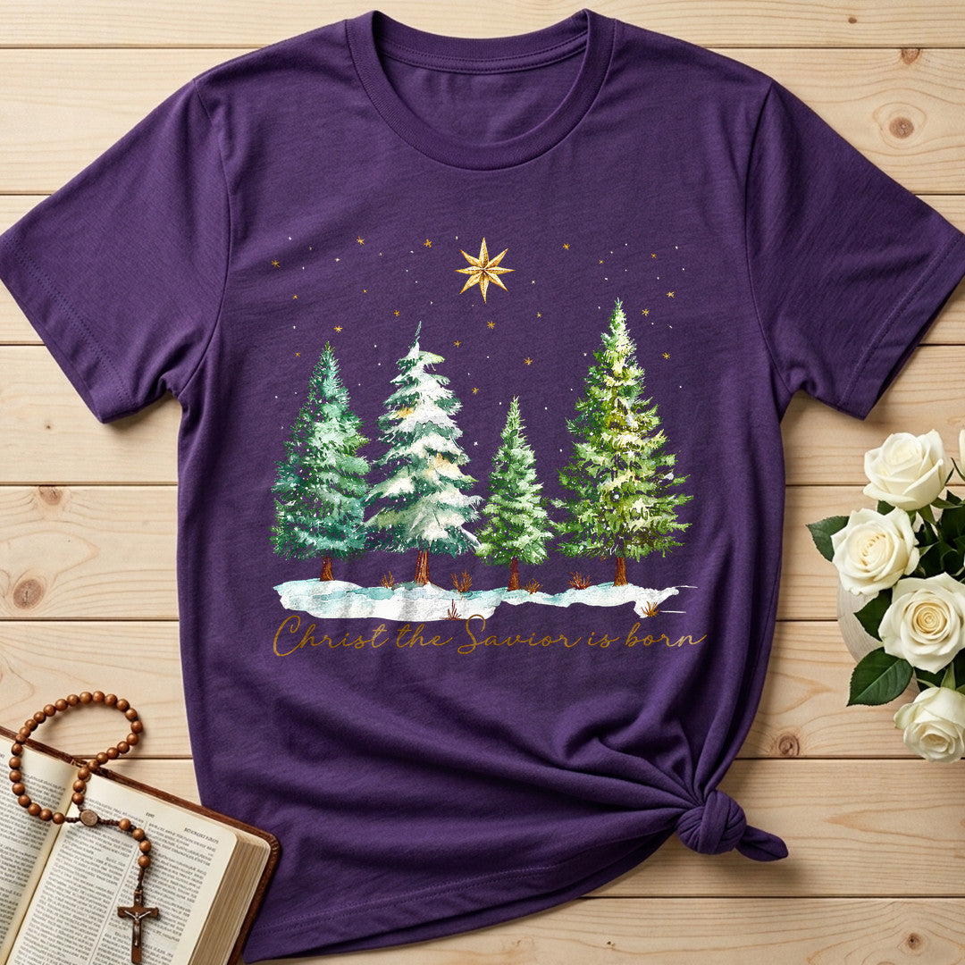Christ The Savior Is Born 02
