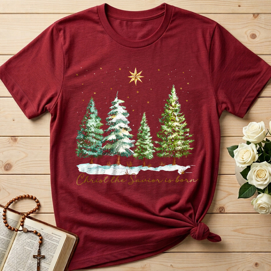 Christ The Savior Is Born 02