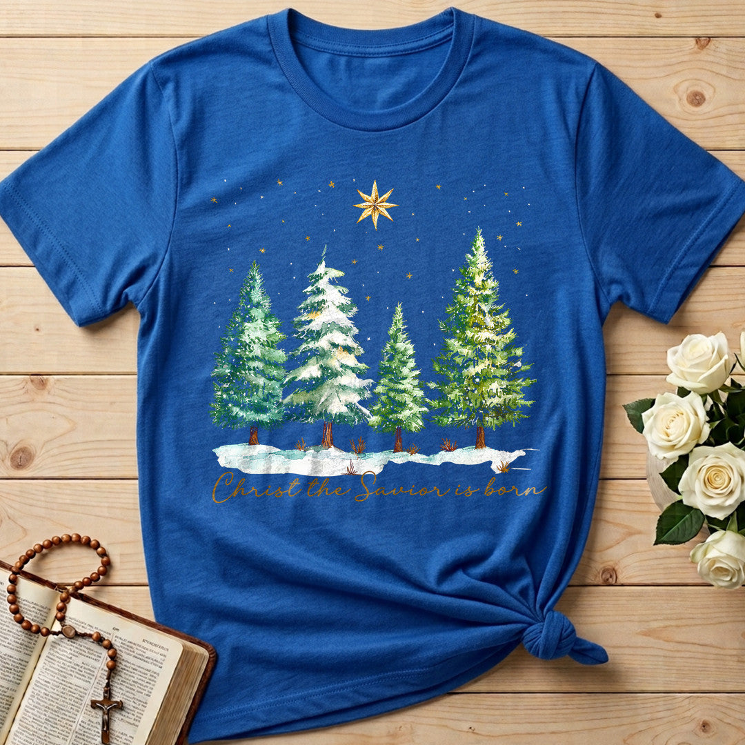 Christ The Savior Is Born 02