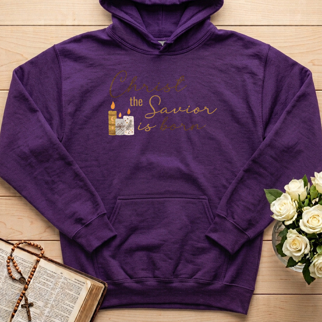Christ The Savior Is Born 04