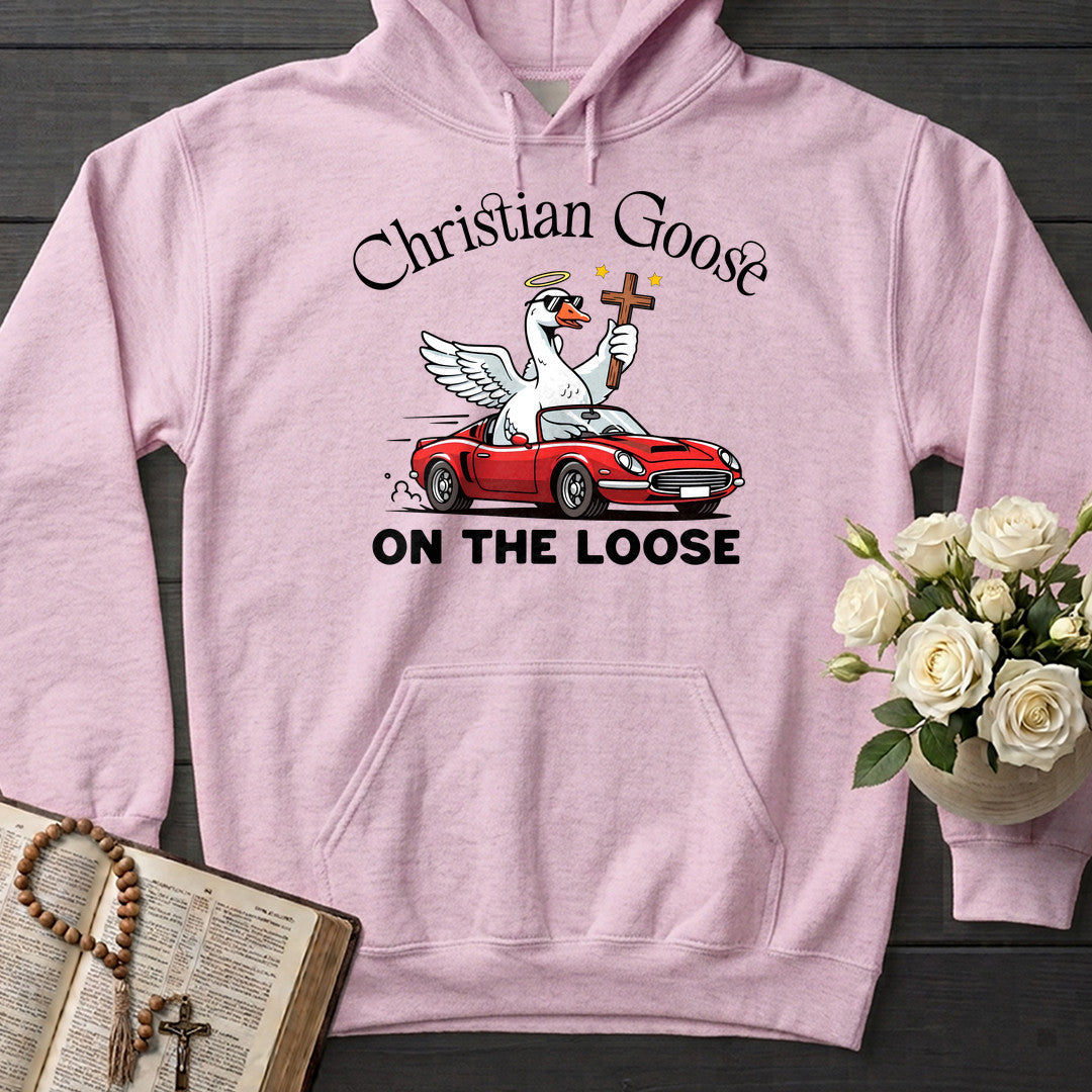 Christian Goose On The Loose 07
