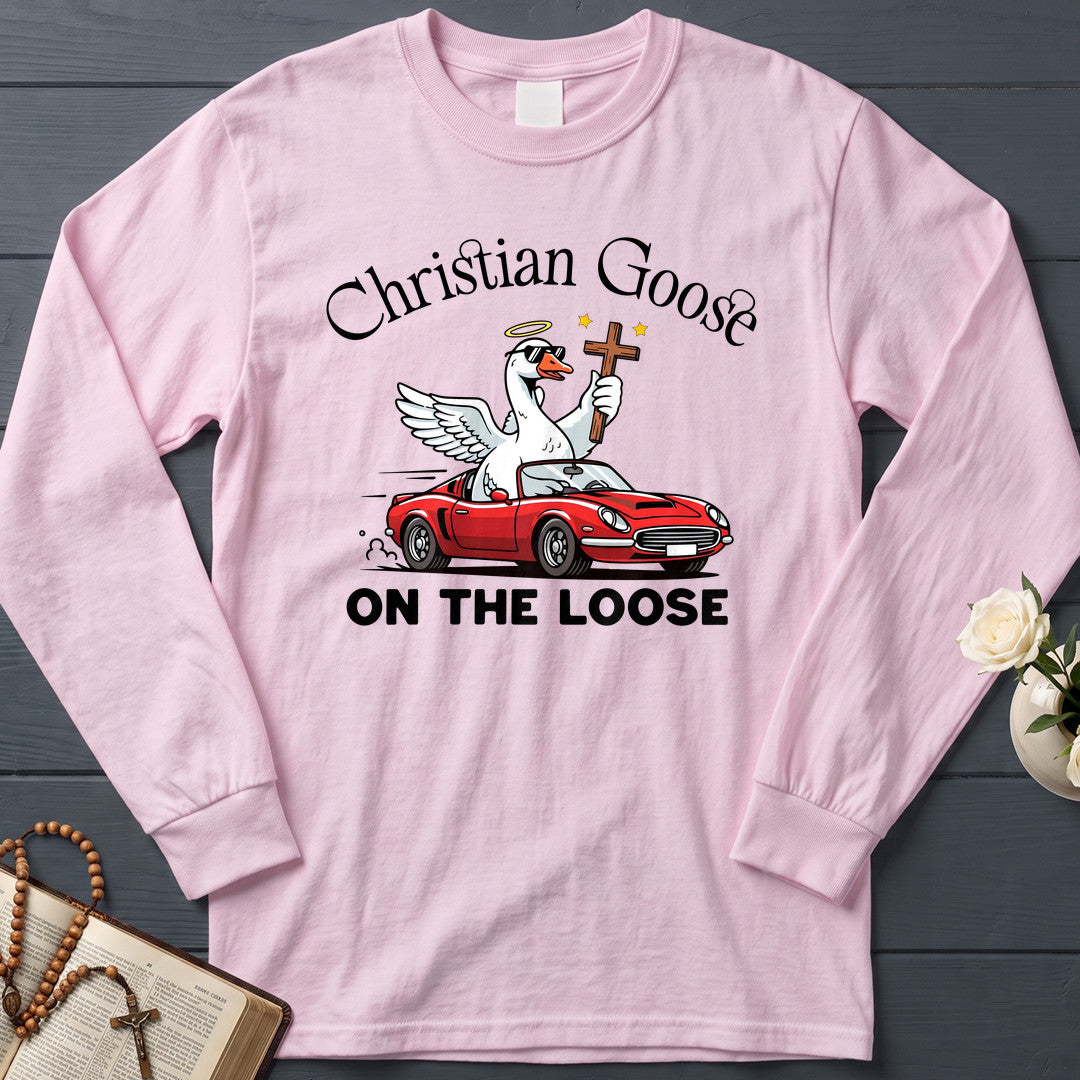 Christian Goose On The Loose 07