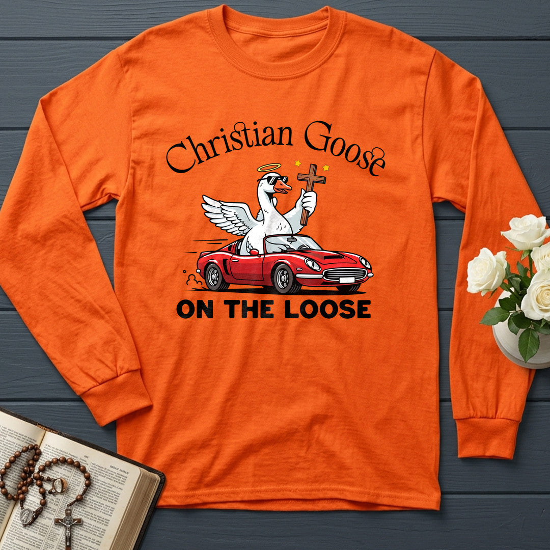 Christian Goose On The Loose 07