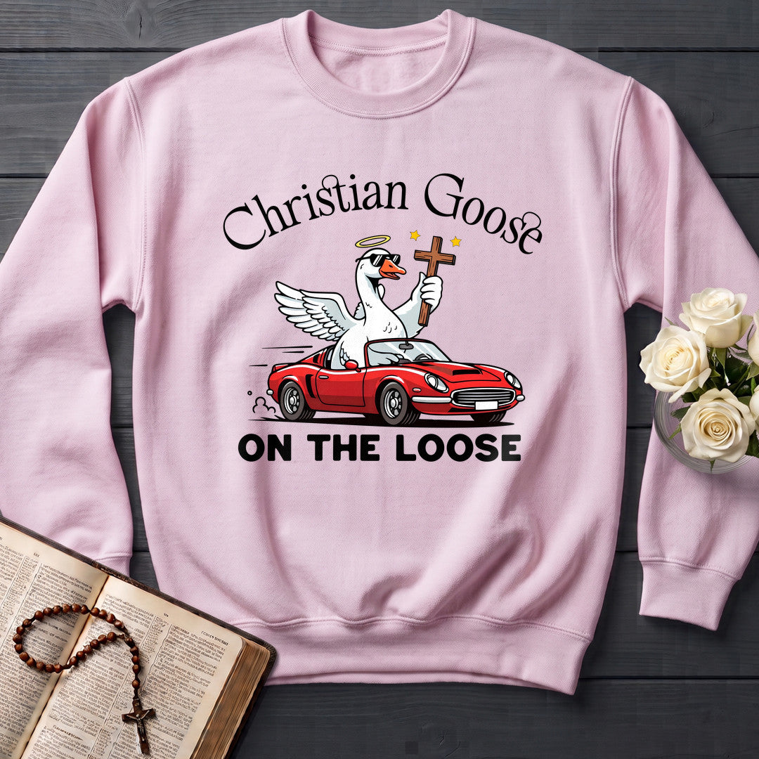 Christian Goose On The Loose 07
