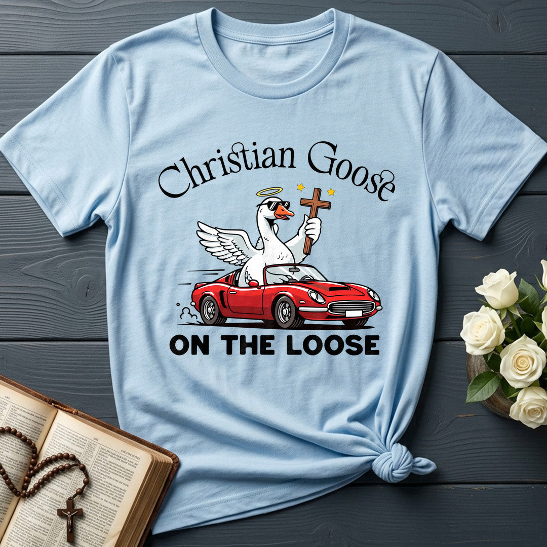 Christian Goose On The Loose 07