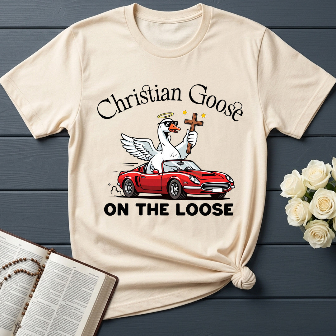 Christian Goose On The Loose 07