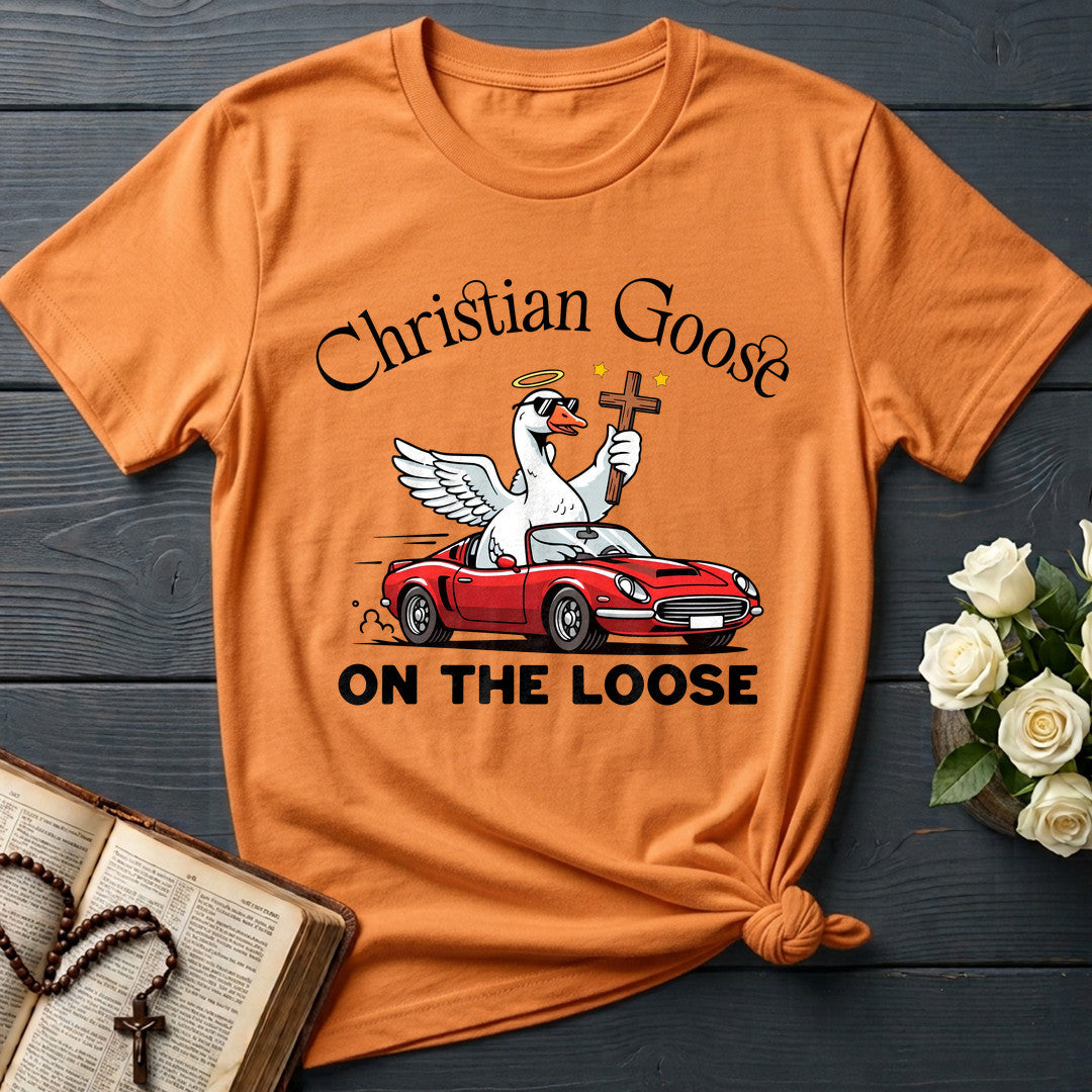 Christian Goose On The Loose 07