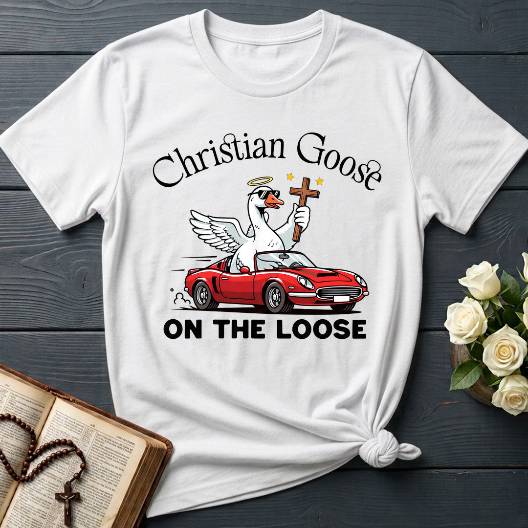 Christian Goose On The Loose 07