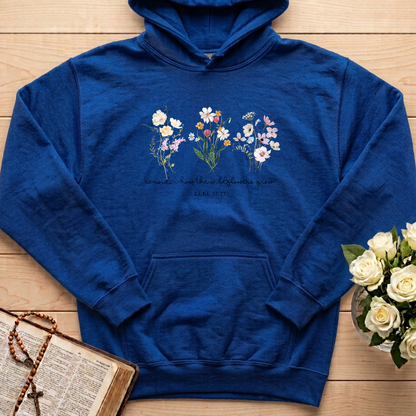 Consider How The Wildflowers Grow Luke 12.27 08