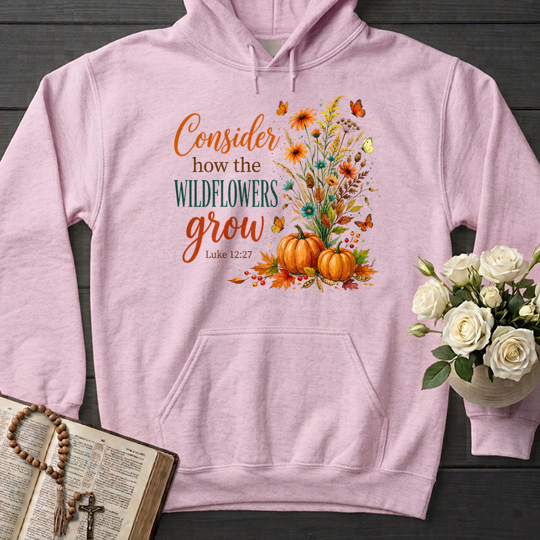 Consider How The Wildflowers Grow Luke 12.27 13