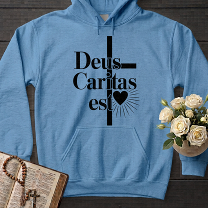 Deus Caritas Est 01