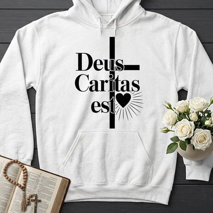 Deus Caritas Est 01
