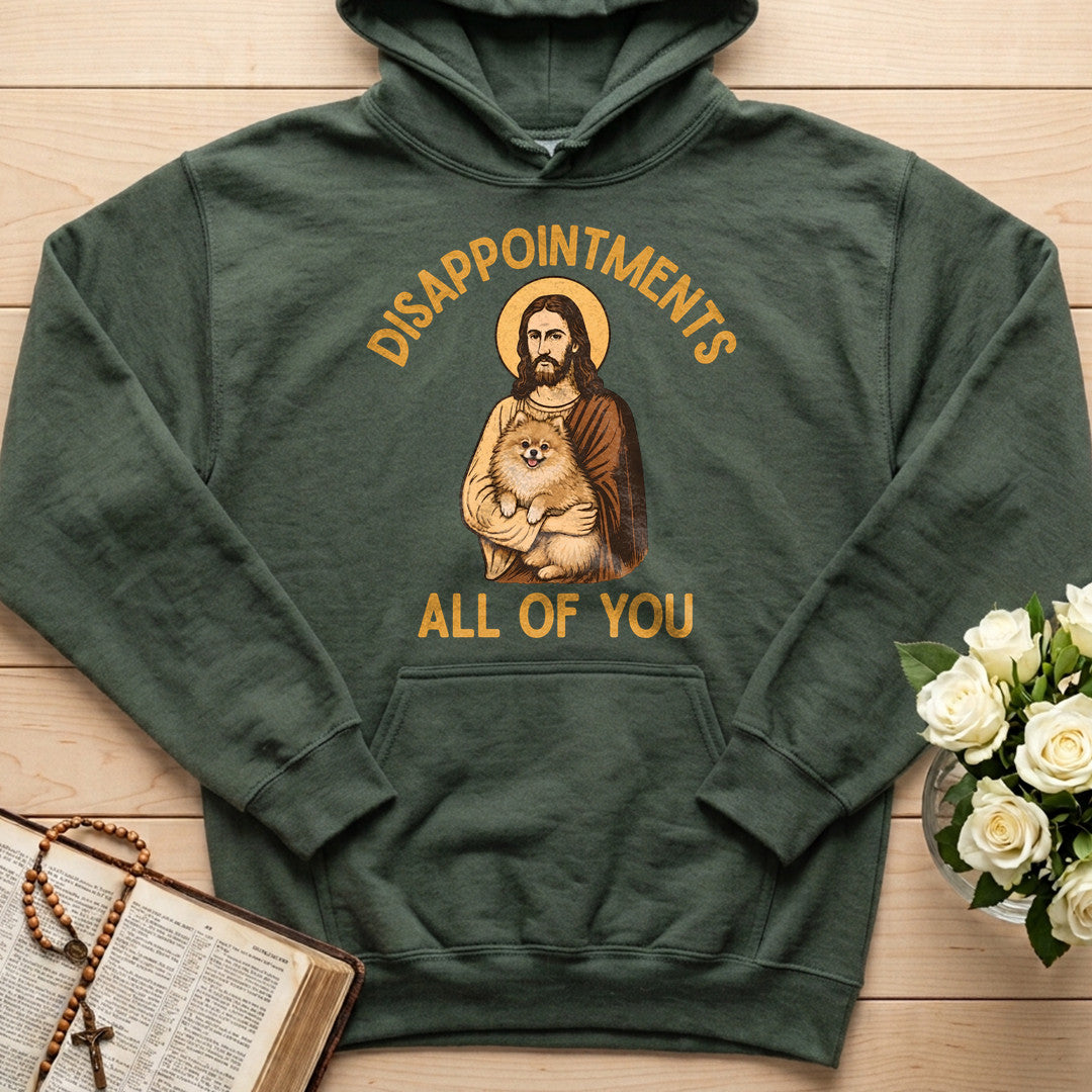 Disappointments All Of You 03