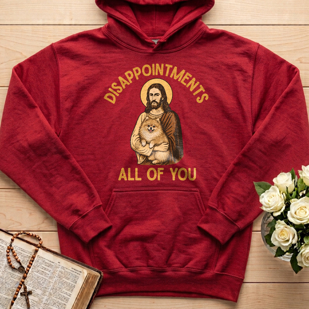 Disappointments All Of You 03