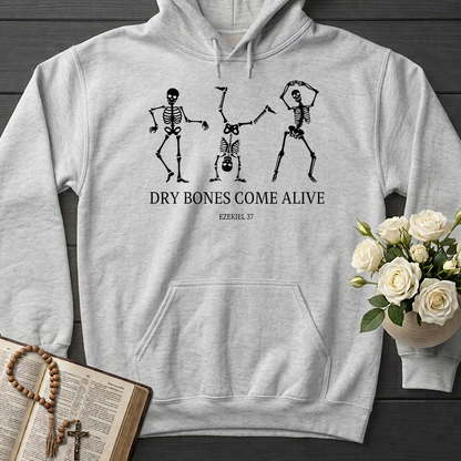 Dry Bones Come Alive Ezekiel 37 04