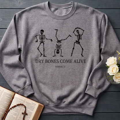 Dry Bones Come Alive Ezekiel 37 04