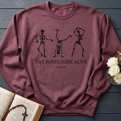 Dry Bones Come Alive Ezekiel 37 04