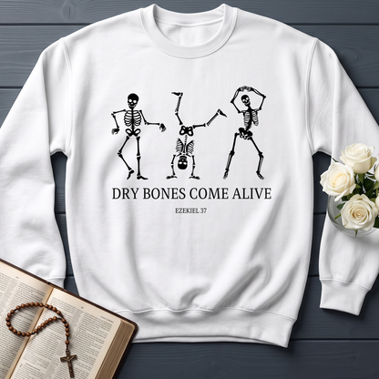 Dry Bones Come Alive Ezekiel 37 04